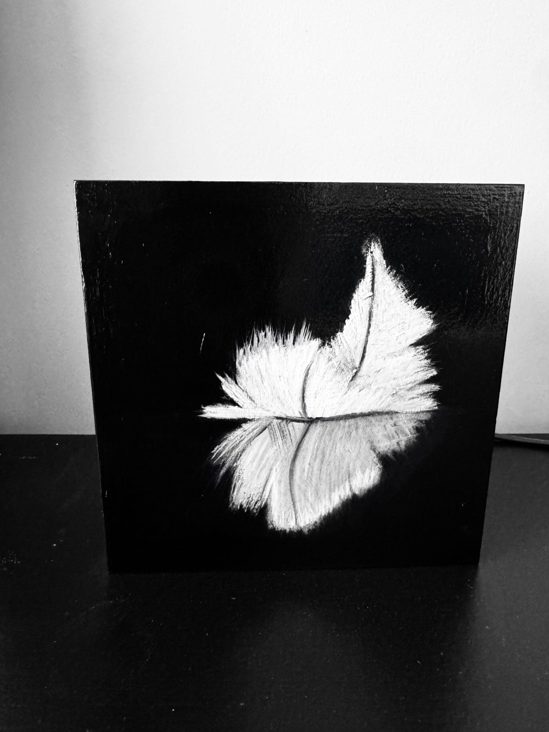 Art - Feather<br><em>Binnenkort beschikbaar</em>